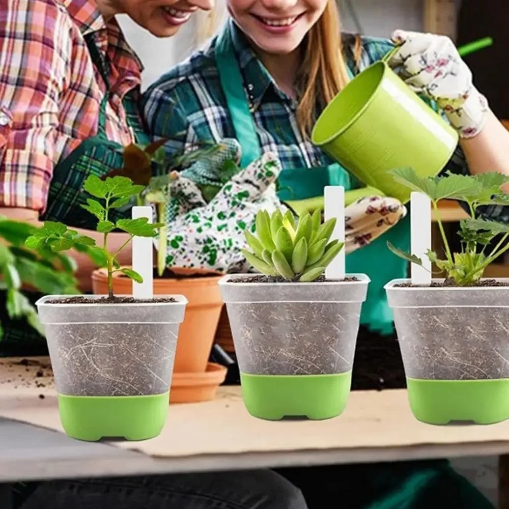 6Piece HighTorque Transparent Seedling Planting System 2