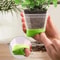 6Piece HighTorque Transparent Seedling Planting System 3