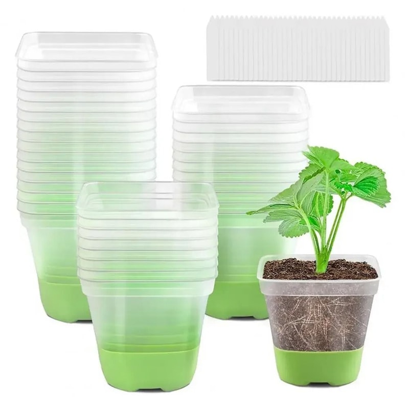 6Piece HighTorque Transparent Seedling Planting System 4