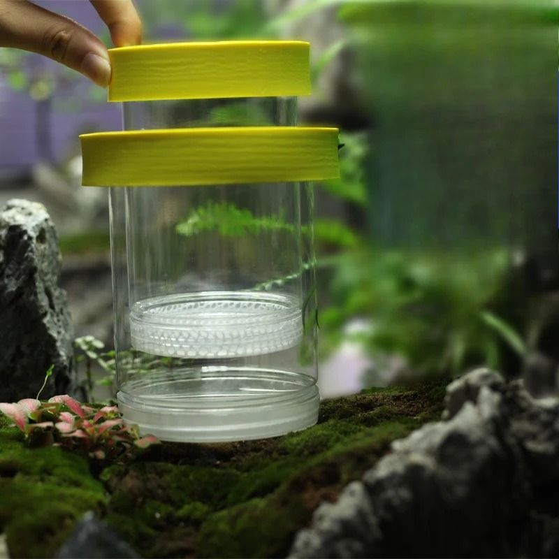 DualChamber Aquarium Breeding Box And Fry Isolation Hatchery 5