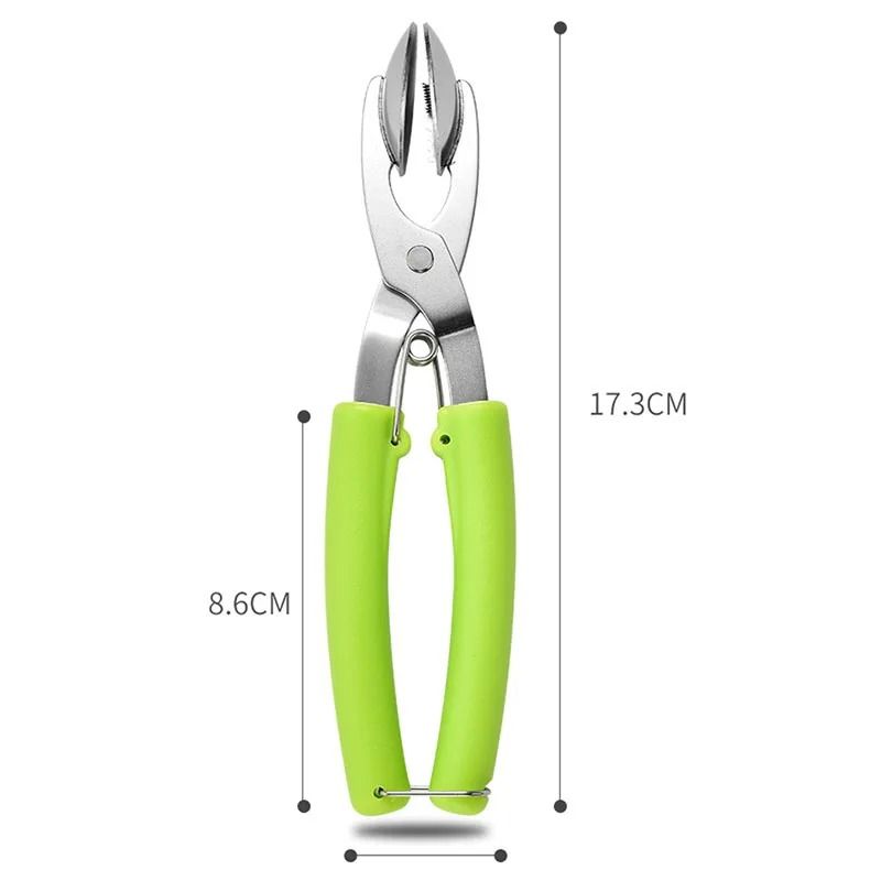 HeavyDuty 304 Stainless Steel Chestnut Opener And Nut Cracker 1