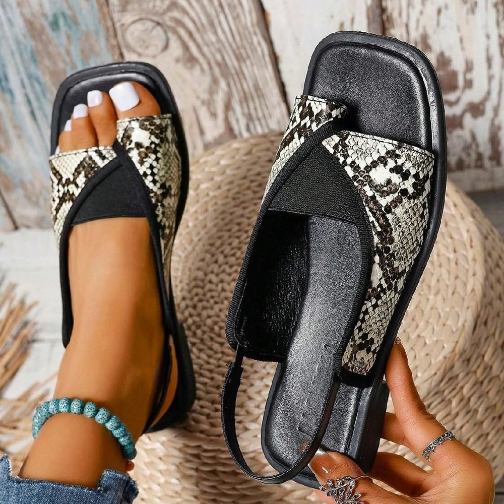 MixedColor Gladiator Slingbacks Elegant 079 In Chunky Low Heel Rome Sandals 2