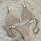 HighWaist Bikini Set PushUp Luxury Swimwear 2