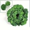 Artificial Green Ivy Vine Garland Realistic Hanging Creeper Rattan Decor 9