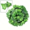Artificial Green Ivy Vine Garland Realistic Hanging Creeper Rattan Decor 6