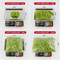 Eternal Life Moss Grass Natural Preserved Greenery For Mini Landscapes DIY Crafts 3