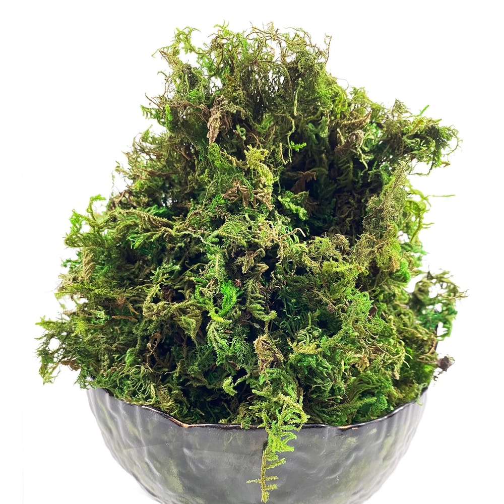 Artificial Green Moss Premium Floral Craft Orchid Potting Mix 2