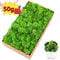 Eternal Life Artificial Moss Premium DIY Craft Landscape Greenery 0
