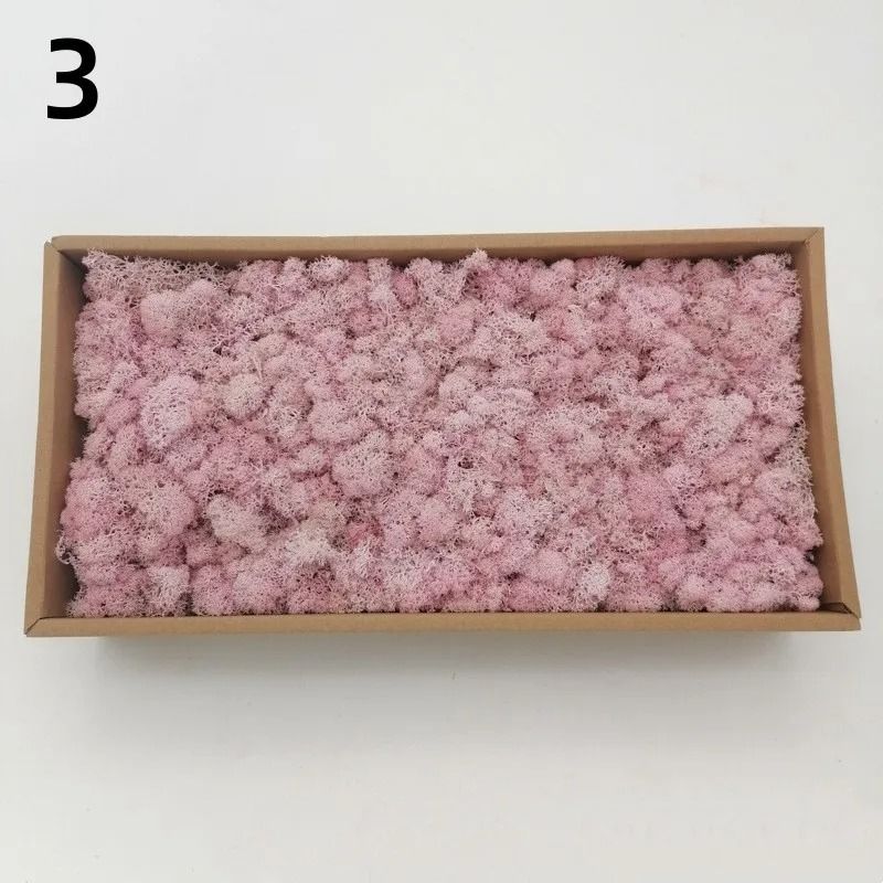 Eternal Life Artificial Moss Premium DIY Craft Landscape Greenery 10