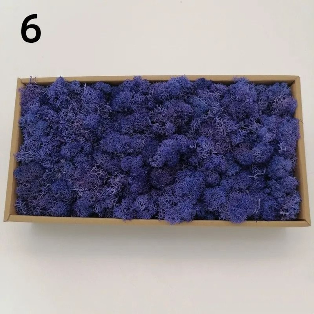 Eternal Life Artificial Moss Premium DIY Craft Landscape Greenery 13