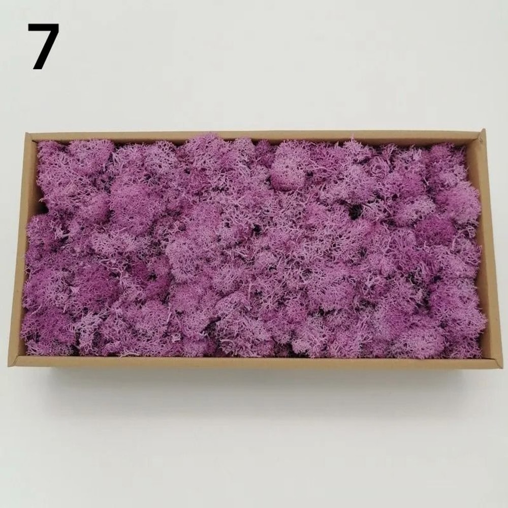 Eternal Life Artificial Moss Premium DIY Craft Landscape Greenery 14