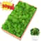 Eternal Life Artificial Moss Premium DIY Craft Landscape Greenery 1