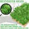 Eternal Life Artificial Moss Premium DIY Craft Landscape Greenery 3