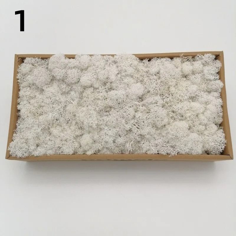 Eternal Life Artificial Moss Premium DIY Craft Landscape Greenery 8