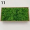 Eternal Life Artificial Moss Premium DIY Craft Landscape Greenery 18