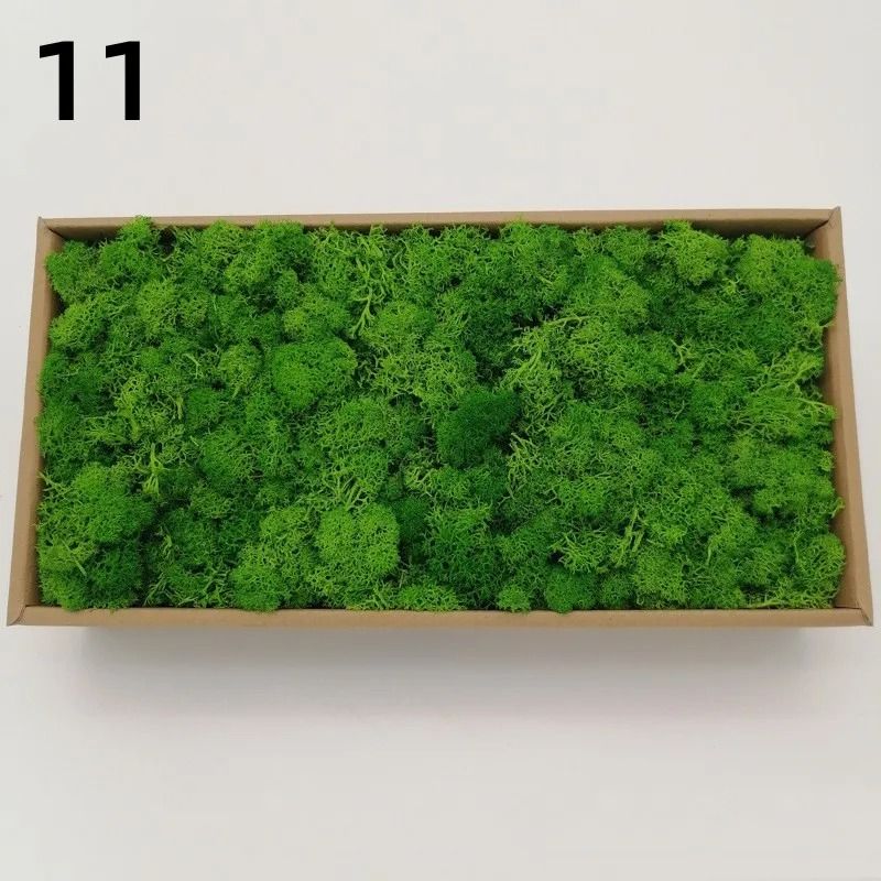 Eternal Life Artificial Moss Premium DIY Craft Landscape Greenery 18