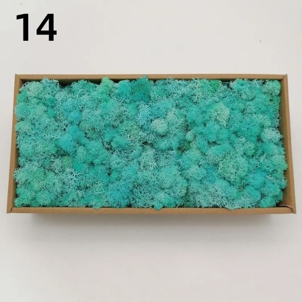 Eternal Life Artificial Moss Premium DIY Craft Landscape Greenery 21