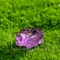 Luminous Miniature Frogs GlowintheDark Mini Resin Garden Decor 5