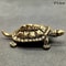 Pure Copper Turtle Statue Vintage Brass Feng Shui Ornament 10