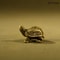 Pure Copper Turtle Statue Vintage Brass Feng Shui Ornament 11