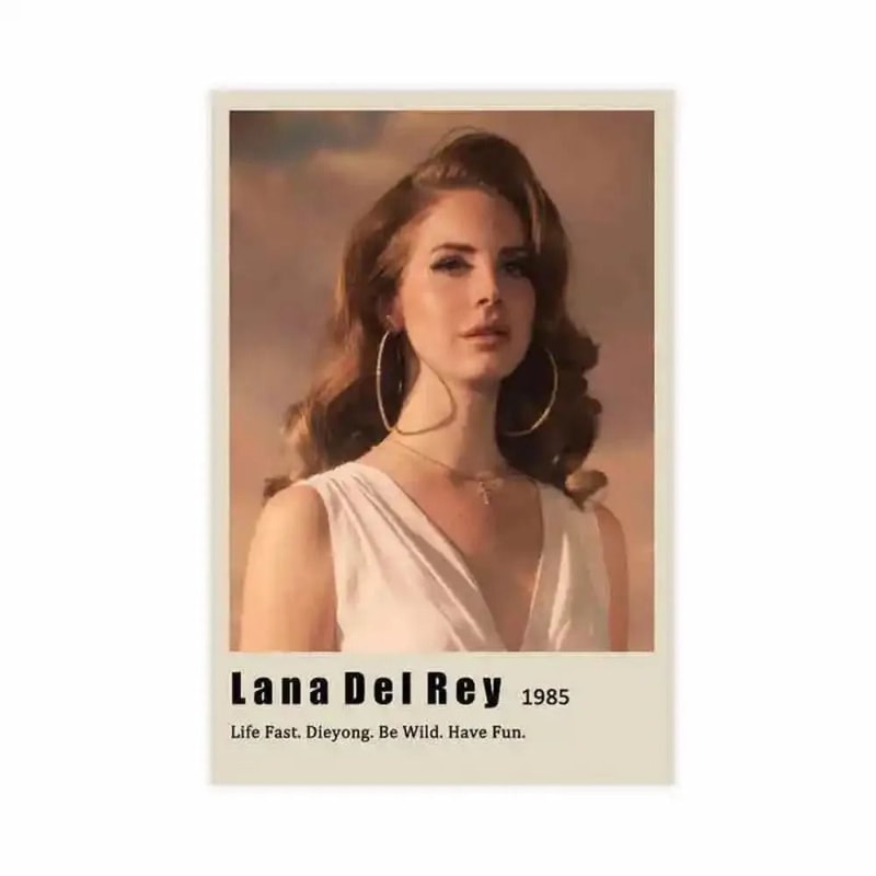 Lana Del Rey Aesthetic Canvas Poster Lizzy Grant Inspired Music Album Wall Art Retro Room Decor 19
