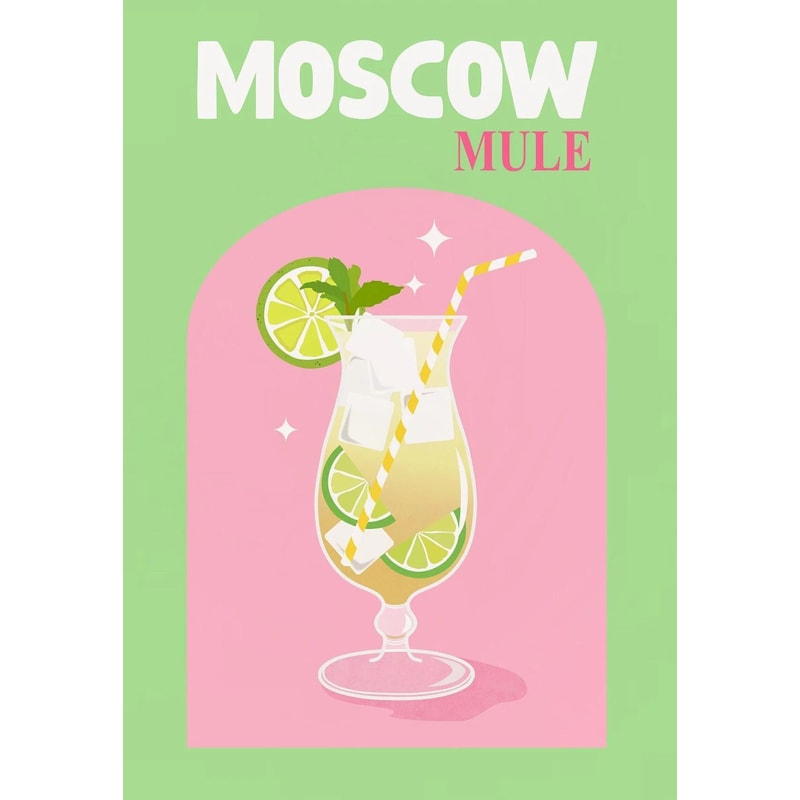 Colorful Simplicity Cocktail Posters Trendy Drink Prints Whiskey Bar Cart Canvas Art For Modern H 8