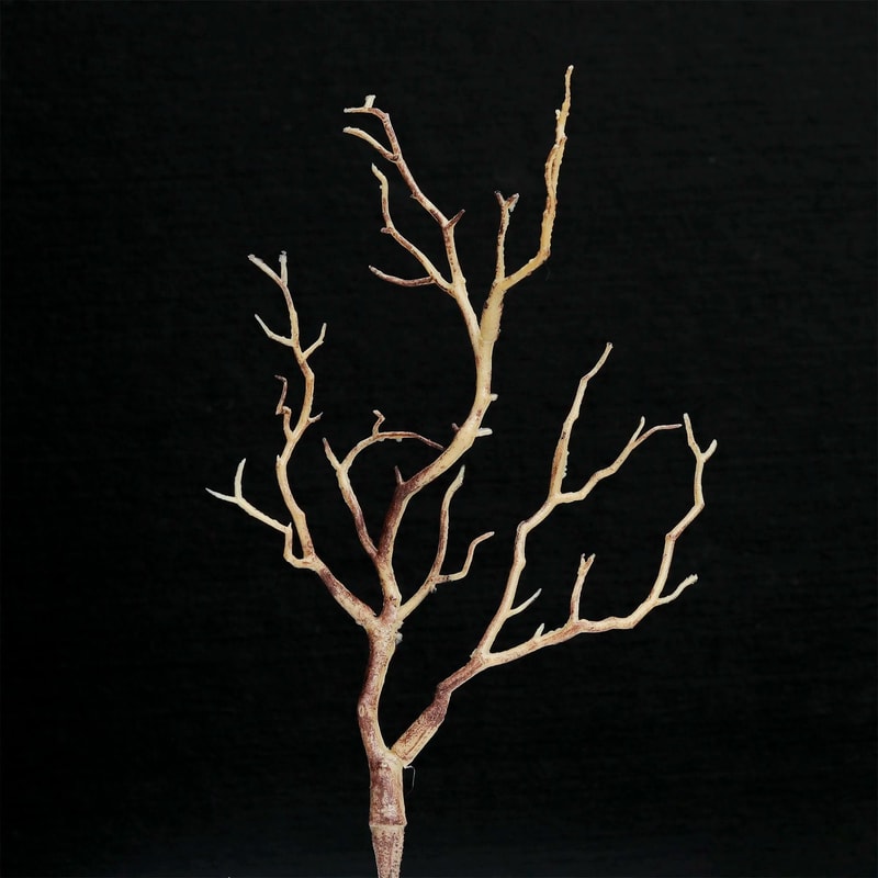 Artificial Antler Tree Branches Rustic Plastic Twig Decor For Weddings Christmas Winter Table Arr 6