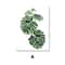 Nordic Green Plants Canvas Wall Art Monstera Fern Banana Leaf Botanical Prints For Living Room B 9
