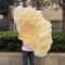 HighQuality Ostrich Feather Folding Fan Performance Carnival Dancer Fan With 13 Premium Bones 2