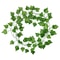 Ivy Green Fake Leaves Garland Artificial Plant Vine Foliage Home Decor For Wall Decoration Plast 5