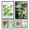 Green Botanical Leaves Canvas Art Calming NatureInspired Prints For Modern Interiors 0