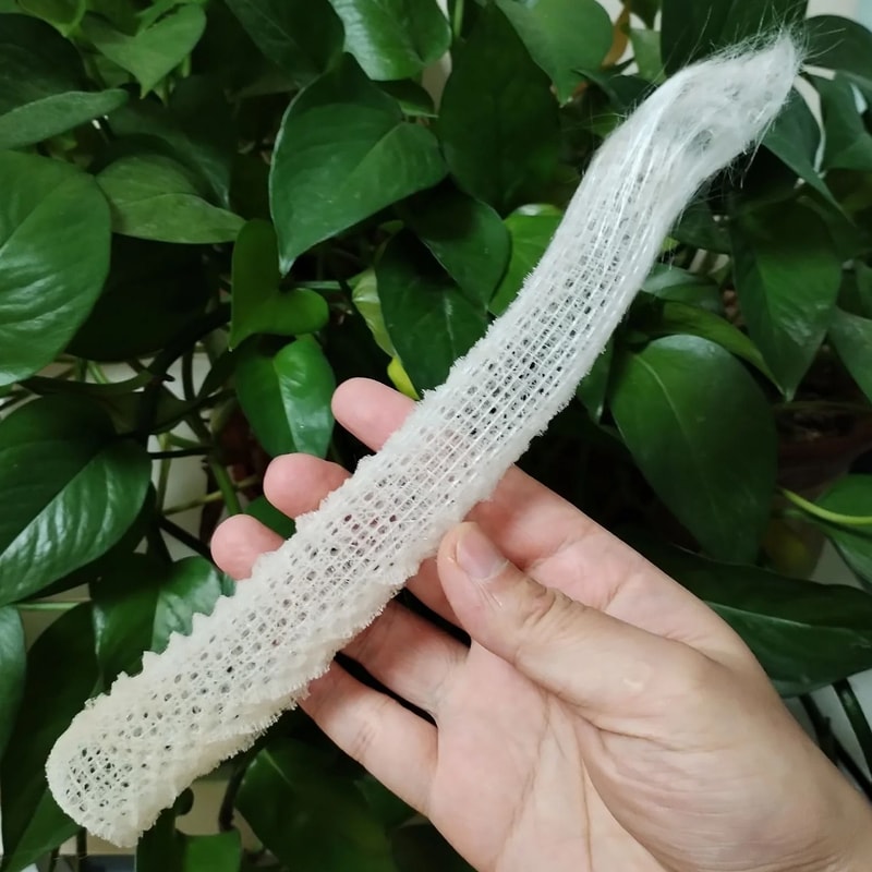Venus Flower Basket Euplectella Rare Glass Sponge Specimen For Aquarium Landscaping Marine Collec 2