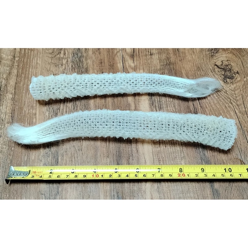 Venus Flower Basket Euplectella Rare Glass Sponge Specimen For Aquarium Landscaping Marine Collec 6