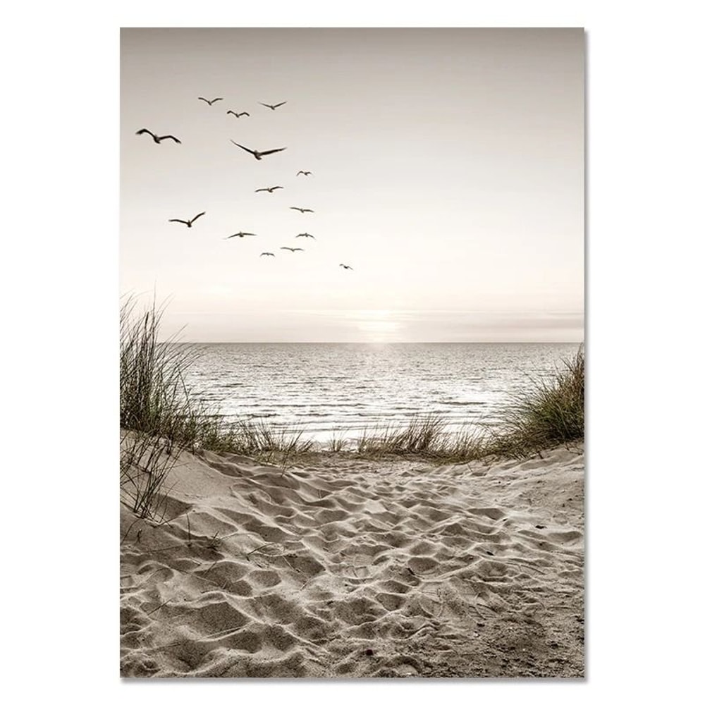 Nordic Wall Art White Shell Beach Flowers Dandelion Canvas Prints For Minimalist Living Room Home 12