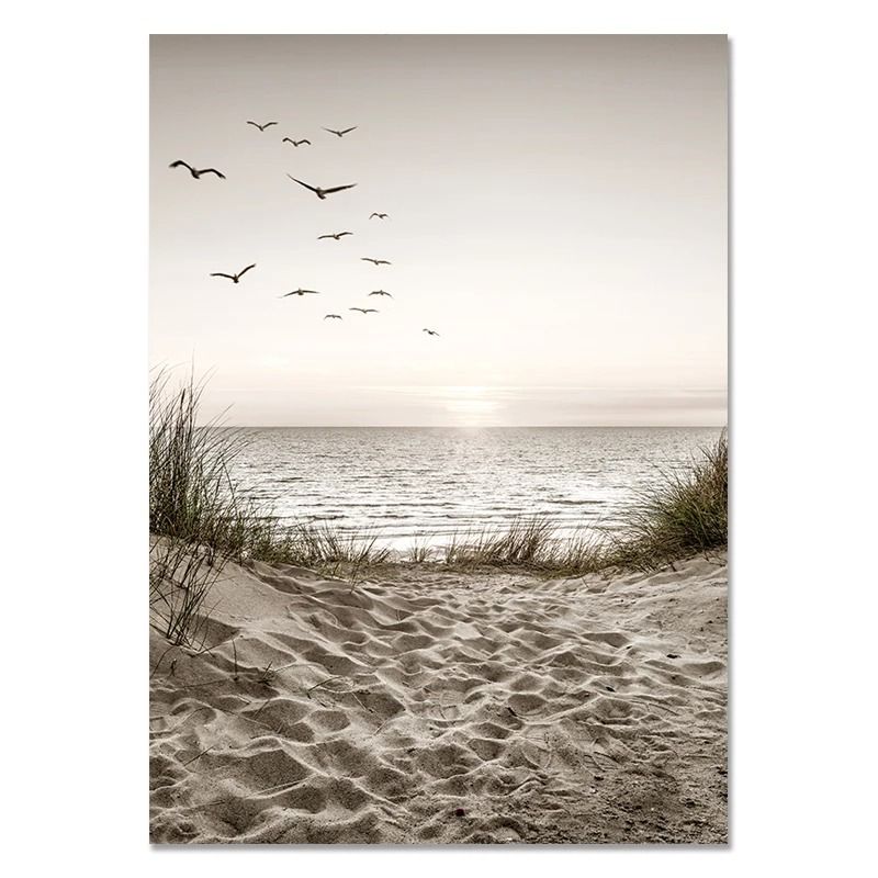 Nordic Wall Art White Shell Beach Flowers Dandelion Canvas Prints For Minimalist Living Room Home 12
