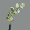 10Piece Real Touch Artificial Eucalyptus Set Premium HandFeel Leaves For Wedding Bouquets Modern 5