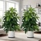 Realistic Artificial Money Tree Large HighFidelity Palm For Outdoor Gardens Porch Decor Modern Li 0
