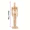 Artistic Wooden Sketch Mannequin Hand Set Movable Anatomical Models For Drawing Sculptural Decor 8
