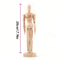 Artistic Wooden Sketch Mannequin Hand Set Movable Anatomical Models For Drawing Sculptural Decor 8