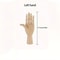 Artistic Wooden Sketch Mannequin Hand Set Movable Anatomical Models For Drawing Sculptural Decor 11