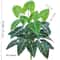 Artificial Calla Lily Tropical Foliage HighDefinition Modern Faux Plants For Holiday Home Sanctu 12