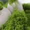 DIY Artificial Green Moss HighDefinition Faux Preserved Moss For Modern Terrariums Garden Landsca 2