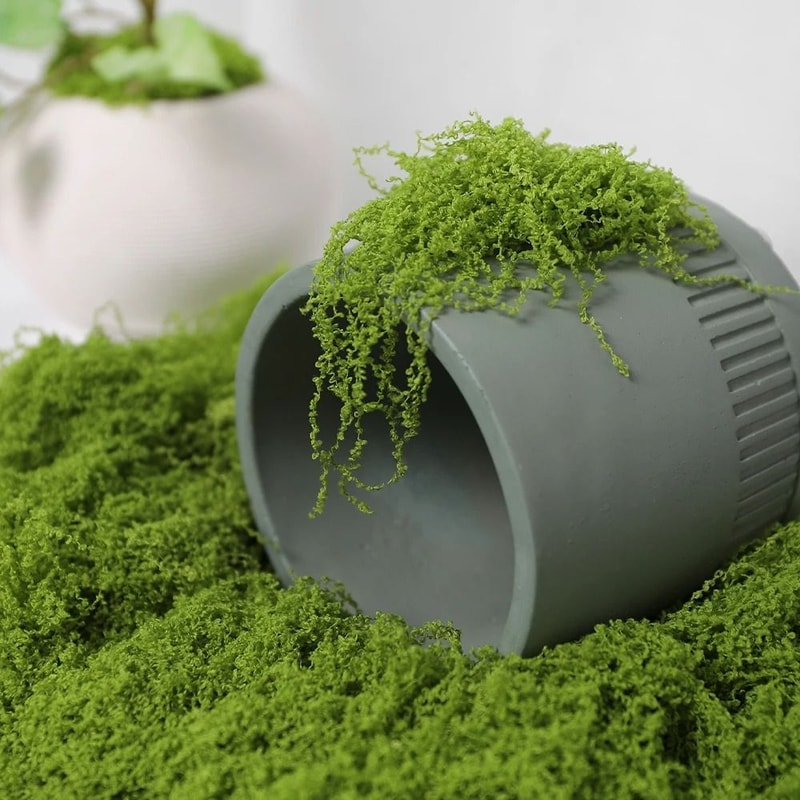 DIY Artificial Green Moss HighDefinition Faux Preserved Moss For Modern Terrariums Garden Landsca 3