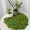 DIY Artificial Green Moss HighDefinition Faux Preserved Moss For Modern Terrariums Garden Landsca 12