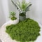 DIY Artificial Green Moss HighDefinition Faux Preserved Moss For Modern Terrariums Garden Landsca 12