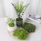 DIY Artificial Green Moss HighDefinition Faux Preserved Moss For Modern Terrariums Garden Landsca 6