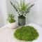 DIY Artificial Green Moss HighDefinition Faux Preserved Moss For Modern Terrariums Garden Landsca 7