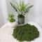 DIY Artificial Green Moss HighDefinition Faux Preserved Moss For Modern Terrariums Garden Landsca 8