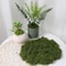 DIY Artificial Green Moss HighDefinition Faux Preserved Moss For Modern Terrariums Garden Landsca 8