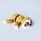 Articulated 3D Printed Sloth Koala Desktop Companions 5